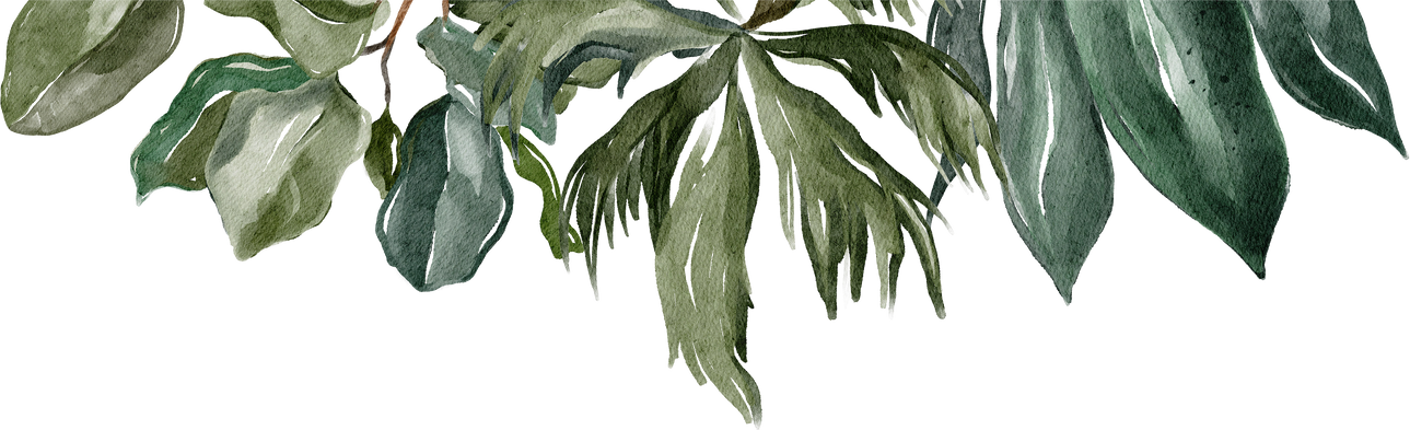 Tropical Leaves Element