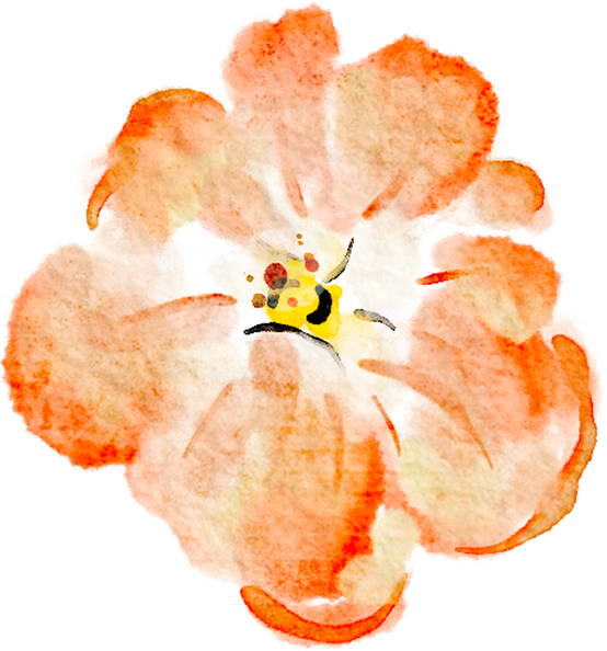 Watercolor Orange Flower